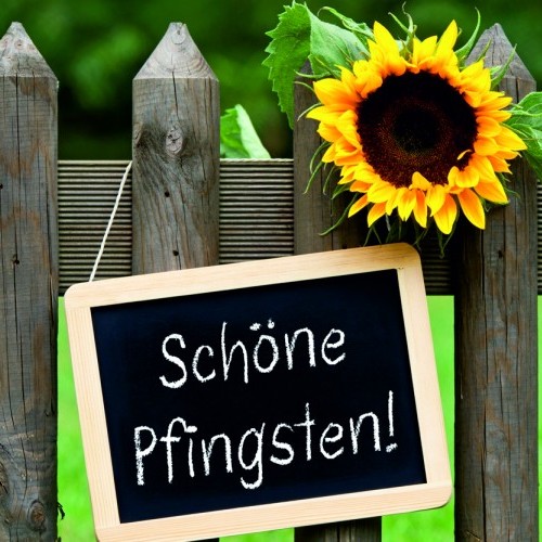 64709caa5c45b1.69920781_Pfingsten - AdobeStock_137838817_500x500.jpg